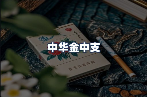 中华金中支